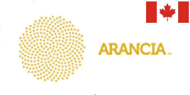 Arcluce%20 %20Button